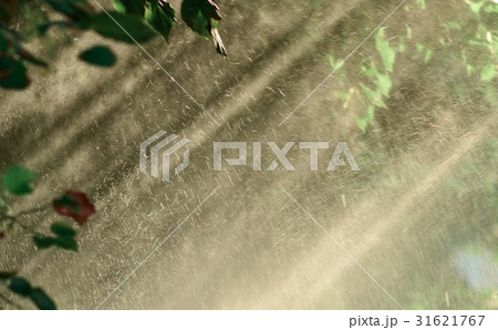 Rain through sunshine background. Sun shower 31621767