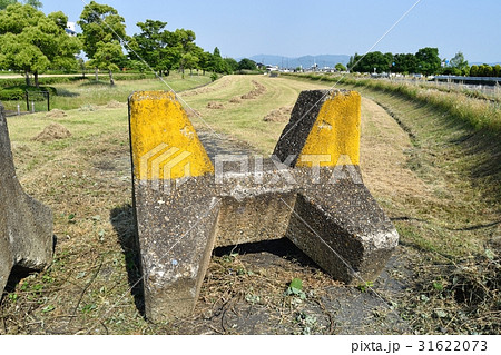 消波ブロック 31622073