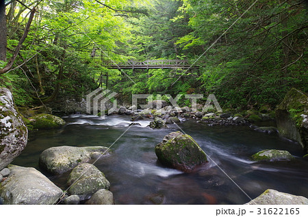 信州乗鞍高原 千間淵遊歩道の夢見橋 小大野川の清冽な流れ 信州乗鞍高原 千間淵遊歩道の夢見橋 小大野川の清冽な流れ 31622165