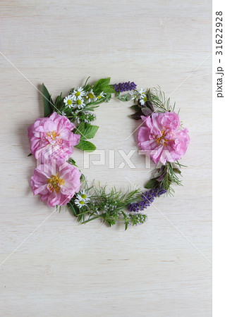 精油の植物 31622928