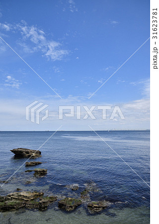 晴れた海岸 31623781