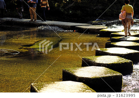 東北の秘境 秋田の小又峡 東北の秘境 秋田の小又峡 31623995
