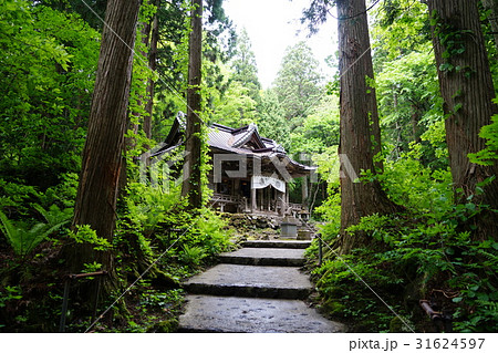5月　十和田湖20新緑の十和田神社 31624597