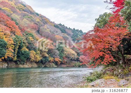 Autumn colors season in Arashiyama, Kyoto, Japan Autumn colors season in Arashiyama, Kyoto, Japan 31626877