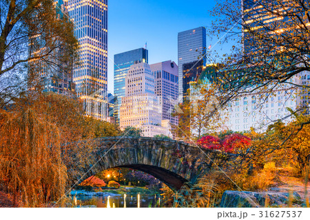 Central Park Autumn 31627537