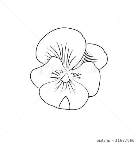 pansy flower simple black lined icon 31627666