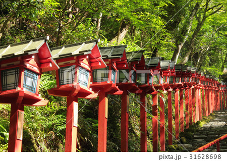 京都 貴船神社 灯篭の写真素材