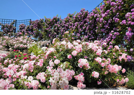 水俣エコパーク 31628702