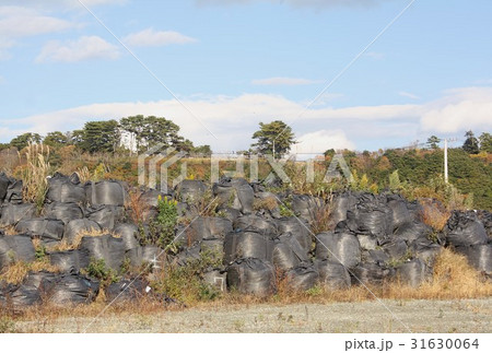 福島第一原発事故後、除染が進む福島県楢葉町木戸の農地に野積み仮置きされた放射線汚染土を詰めた袋 福島第一原発事故後、除染が進む福島県楢葉町木戸の農地に野積み仮置きされた放射線汚染土を詰めた袋 31630064