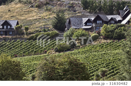 Winery Queenstown New Zealand Winery Queenstown New Zealand 31630482