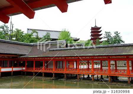 厳島神社 厳島神社 31630998