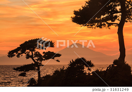 浮世絵相州三浦秋谷の里富士山 31631249