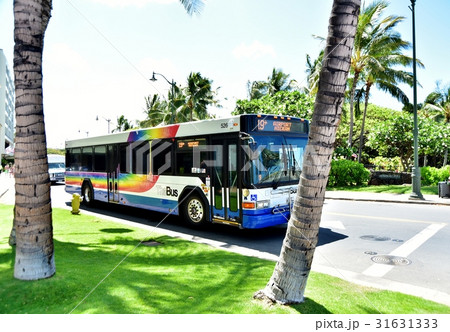 ハワイの休日 31631333