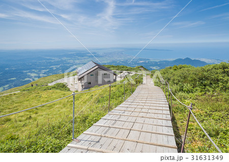 大山頂上 大山頂上 31631349