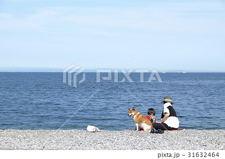 初夏の海岸2 初夏の海岸2 31632464