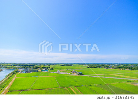 千葉県白子町関　南日当　五井付近を空撮 31633345