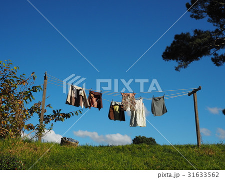 ニュージーランド　ホビット庄 31633562