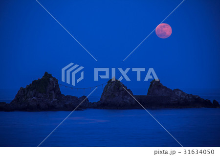 真鶴半島三ツ石に昇るストロベリームーン 真鶴半島三ツ石に昇るストロベリームーン 31634050