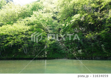 岩手県 猊鼻渓 岩手県 猊鼻渓 31634059
