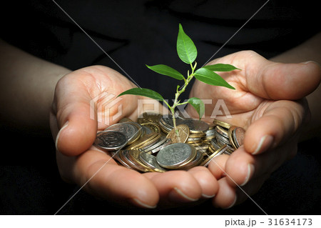 Money and tree in the hand save concept 31634173