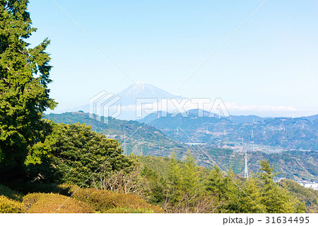 梶原山から望む富士山(静岡市清水区・梶原山公園) 梶原山から望む富士山(静岡市清水区・梶原山公園) 31634495
