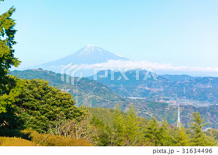 梶原山から望む富士山(静岡市清水区・梶原山公園) 梶原山から望む富士山(静岡市清水区・梶原山公園) 31634496