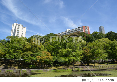 新池公園(春日井市) 新池公園(春日井市) 31634590