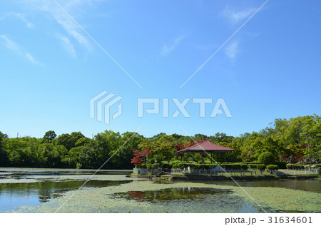 新池公園（春日井市） 31634601