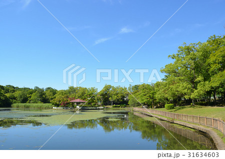 新池公園（春日井市） 31634603