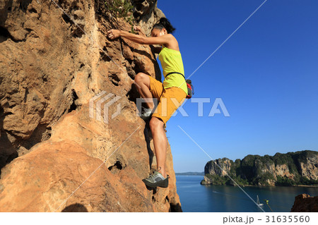 young woman rock climber climbing at seaside cliff young woman rock climber climbing at seaside cliff 31635560