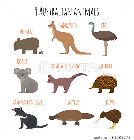 Vector set of Australian animals icons. 31635578