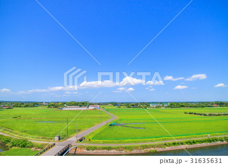 千葉県長生村の高根　宮成　本郷　一松周辺を空撮 31635631