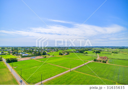 千葉県長生村の高根　宮成　本郷　一松周辺を空撮 31635635