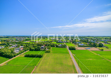 千葉県長生村の高根　宮成　本郷　一松周辺を空撮 31635637