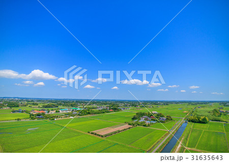 千葉県長生村の高根　宮成　本郷　一松周辺を空撮 31635643