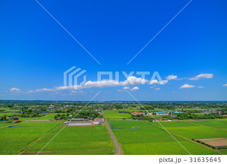 千葉県長生村の高根 宮成 本郷 一松周辺を空撮 千葉県長生村の高根 宮成 本郷 一松周辺を空撮 31635645
