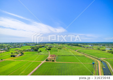 千葉県長生村の高根 宮成 本郷 一松周辺を空撮 千葉県長生村の高根 宮成 本郷 一松周辺を空撮 31635648