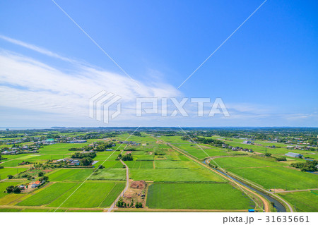 千葉県長生村の高根　宮成　本郷　一松周辺を空撮 31635661