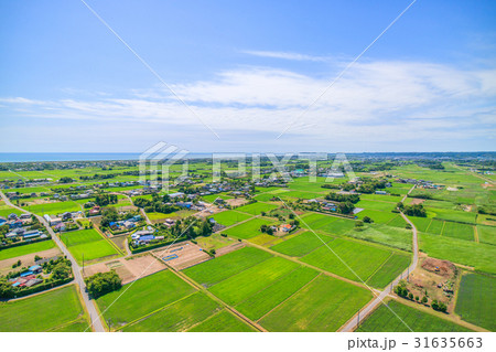 千葉県長生村の高根　宮成　本郷　一松周辺を空撮 31635663