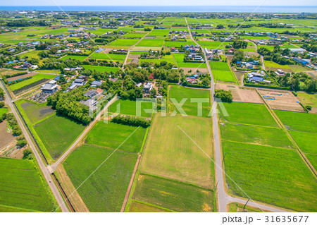 千葉県長生村の高根　宮成　本郷　一松周辺を空撮 31635677