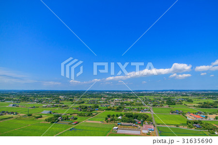 千葉県長生村の高根　宮成　本郷　一松周辺を空撮 31635690