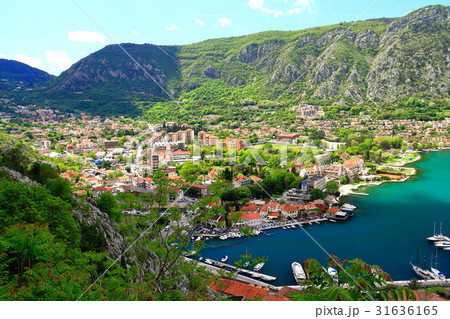 コトル（モンテネグロ） 31636165