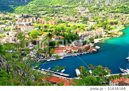 コトル（モンテネグロ） 31636166