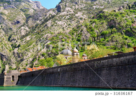 コトル旧市街(モンテネグロ) コトル旧市街(モンテネグロ) 31636167