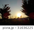 インターの夕日 31636225