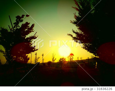 インターチェンジ近くの夕日 31636226