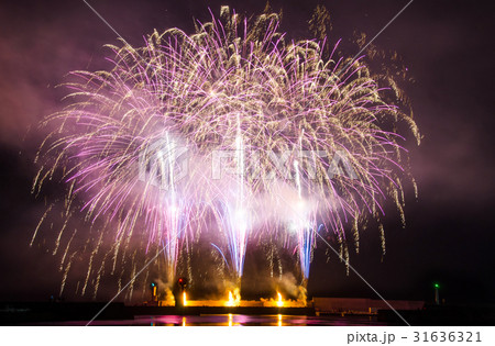 伊豆稲取温泉のどんつく祭 31636321