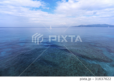 沖縄の海　名護湾　沖縄観光　イメージ素材　背景素材 31637622
