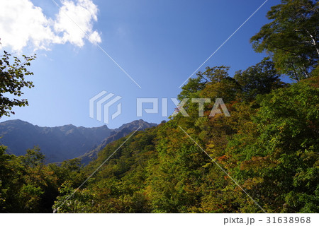 谷川岳 谷川岳 31638968