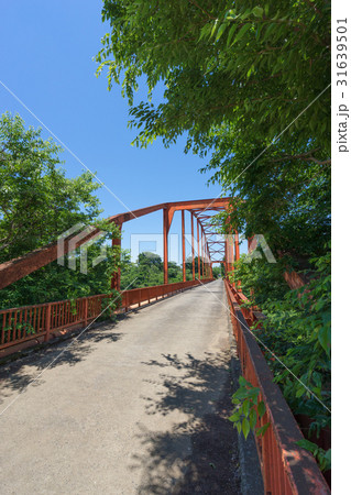 印旛沼捷水路の市井橋 印旛沼捷水路の市井橋 31639501
